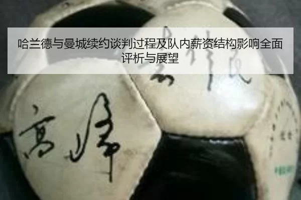 ha-lan-de-yu-man-cheng-xu-yue-tan-pan-guo-cheng-ji-dui-nei-xin-zi-jie-gou-ying-xiang-quan-mian-ping-xi-yu-zhan-wang-2-206.jpg