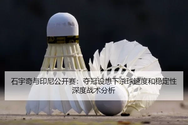shi-yu-qi-yu-yin-ni-gong-kai-sai-duo-guan-she-xiang-xia-sha-qiu-su-du-he-wen-ding-xing-shen-du-zhan-shu-fen-xi-2-931.jpg