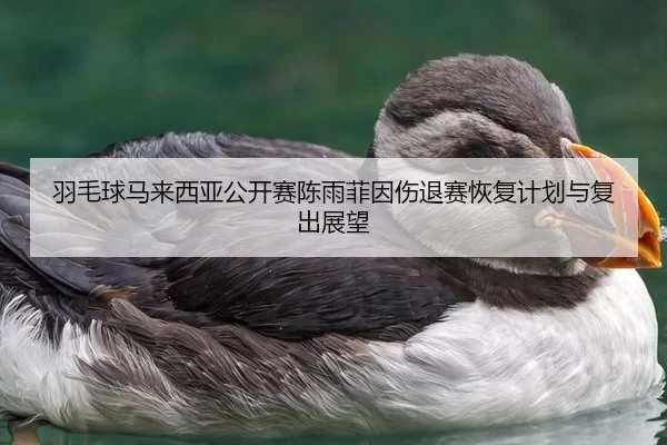 羽毛球马来西亚公开赛陈雨菲因伤退赛恢复计划与复出展望